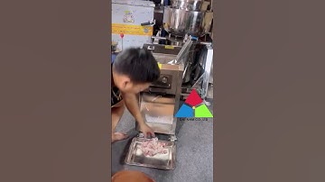 Địa chỉ bán máy thái thịt tươi sống công nghiệp DQ-8 dao 15mm