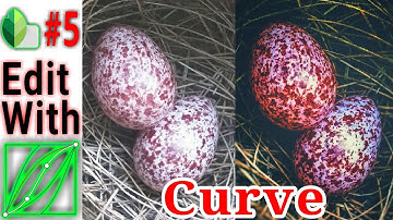 How to edit with Curve Snapseed Tutorials | #Phototactic #5