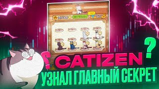 : CATIZEN -   ! 5 !  !  ?