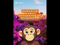 Un singe.Une blague.Une vérité 😂🐵 #humourfr#shortsfr#blagu
