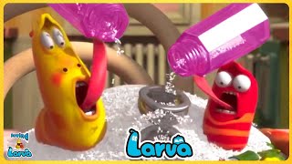Larva Eat Less Salt 🍟 Larva Cartoons - Comics - Official 🍨 Best Cartoon Movie 🥟 Cartoon Comedy 2022