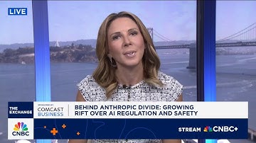 AI safety creates growing regulatory rift between Anthropic, White House and others