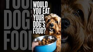 40% of dog owners would eat their pets food - would you?