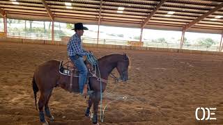 BREAKAWAY STEER STOPPING OUTLAW EQUINE