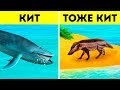 Почему киты - самые большие животные всех времен