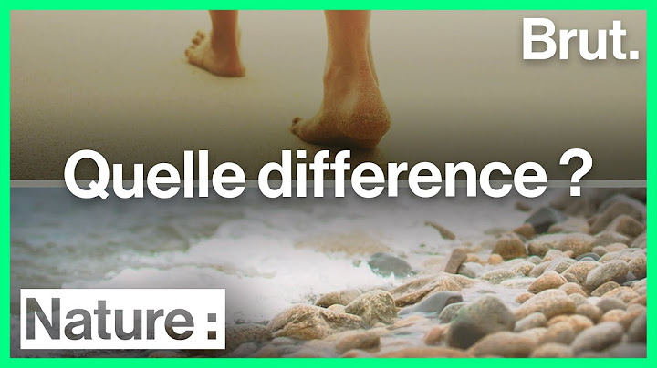 La différence entre une plage de sable et une plage de galets