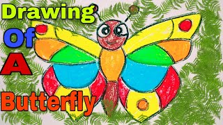 Butterfly drawing easy/beautiful butterfly drawing/simple butterfly drawing/how to draw a butterfly