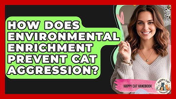 How Does Environmental Enrichment Prevent Cat Aggression? - Happy Cat Handbook