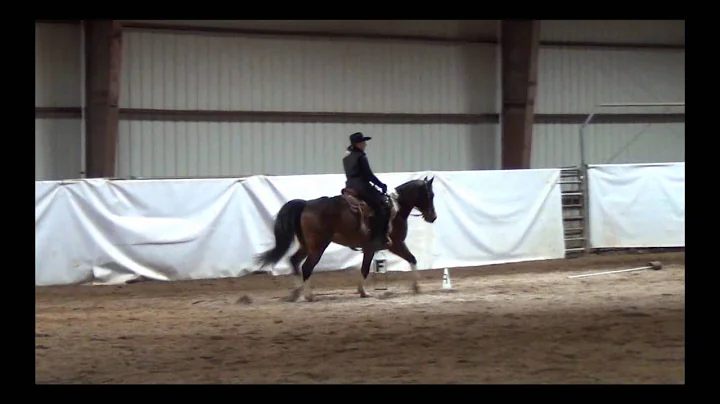 Western Dressage Introductory Level Test 1 with a ...