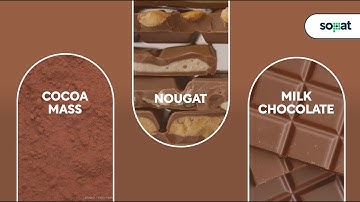 What´s inside chocolate?