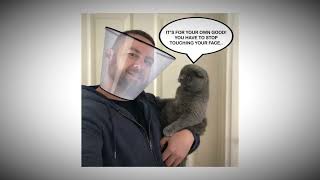 Evil Cat Memes Relatable Memes V1