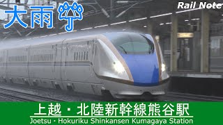 雨のベールの中高速通過 上越・北陸新幹線熊谷駅/Bale of rain ! Shinkansen passes Kumagaya Station/2019.05.18