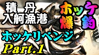 【釣り】（北海道）積丹 入舸漁港ホッケ爆釣（石狩小樽エリアから遠征）PART1（１２月釣行）：[Fishing] Atka mackerel mass fishing PART1