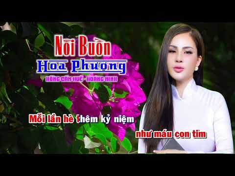 KARAOKE THIẾU NAM - Tân Cổ Nỗi Buồn Hoa Phương BEAT CHUẨN