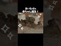 まいたけができるまで