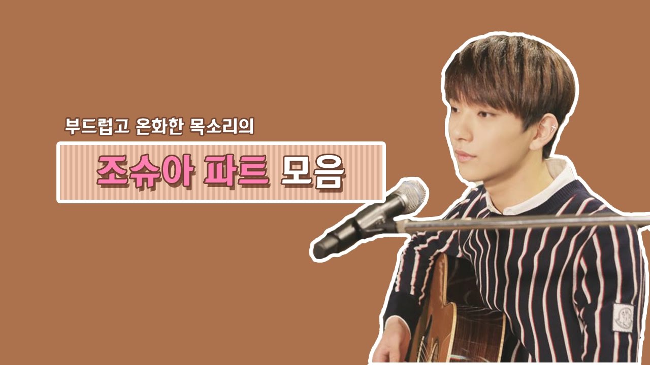 [세븐틴/조슈아] 조슈아 파트 모음♪