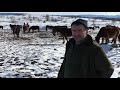 -Medvjed i šakal glavna prijetnja za krdo kobila  Željka Zeca u Gerzovu- tv