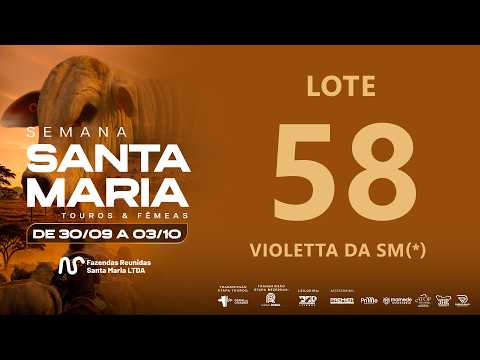 LOTE 58 FSM A668