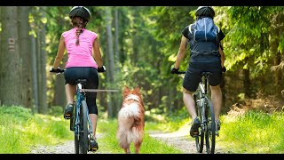 Walky Dog Bike Leash Overview