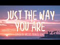 Bruno Mars - &#39;Just The Way You Are&#39; / Music Travel Love Cover (Lyrics)