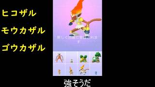 ヒコザル進化モウカザル進化ゴウカザル ポケモンgo Youtube ヒコザル進化モウカザル進化ゴウカザル ポケモンgo Youtube