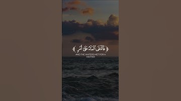 فدعا ربه أني مغلوب فانتصر | تلاوة خاشعة ومؤثرة