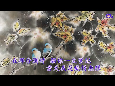 我是癡情無限 | 關菊英 | 粵語 | 高清 | 伴唱版本 | 卡拉OK | KARAOKE | KTV