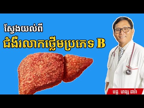 ជំងឺរលាកថ្លើមប្រភេទ B (Hepatitis B) | វេជ្ជបណ្ឌិត ហង្ស ដារ៉ា | success knowledge