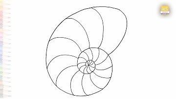 Nautilus shell drawing easy | Outline drawing tutorial | How to draw A Nautilus shell step by step