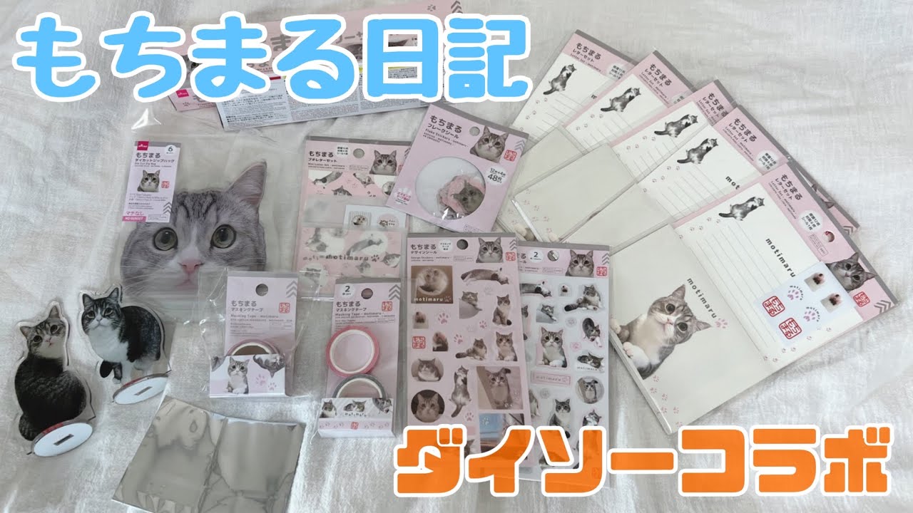 もちまる日記×ダイソー】猫好き文房具好きによる購入品紹介