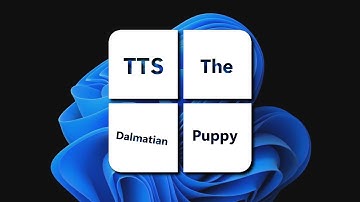 TTSD "Windows 11 Styled V2" logo (9/11/2022)