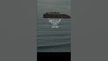 القرآن الكريم #اكسبلور #المصحف #quran #راحة_نفسية #القزابري #duetd #دويتو #duet #life #لايك