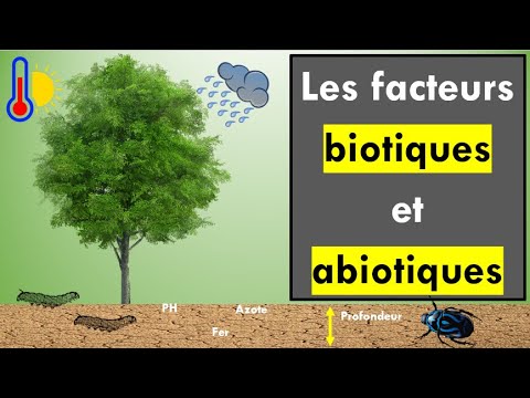 Vidéo: Quels éléments composent les facteurs biotiques sur terre, donnez des exemples ?