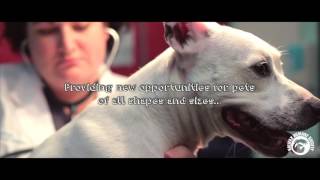 Halifax Humane Society - Not just a "shelter"