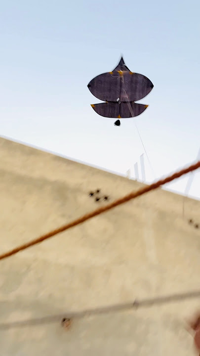 Itani payari tukal paker li 😍 #kite #kiteflying #youtubeshorts