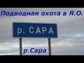 Подводная охота в Ярославской области. 4 серия - река Сара.