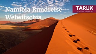 Namibia-Rundreise: Welwitschia - Fischfluss Canyon, Etosha NP und ursprüngliche Kutur | Filmbuch