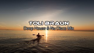 Обложка Toly Braun Deep House Nu Disco Mix 2017 December Скачать Toly Braun Deep House Nu Disco Mix 2017 December