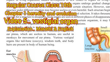 Regular course science part 2 class 10th.. 1) Heredity and evolution.. video 5... Vestigial organ