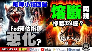 咆哮小貓回歸「熔斷」再現！空軍慘賠324億？Fed調查預估指標惡化了？《我是金錢爆》普通錠 2024.0514 #大K曾煥文 #籌碼專家 阿斯匹靈 #永豐期貨副總 廖祿民