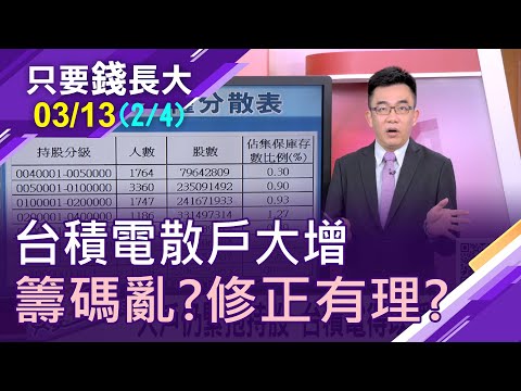 【台積電股民大增 貢獻多少成交量?大戶緊抱持股 台積電得以穩坐神壇?含"積"ETF評比!】20210313(第2/4段)只要錢長大*鄭明娟(呂漢威)