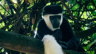 Why Arbaminch Is A Must Visit Destination