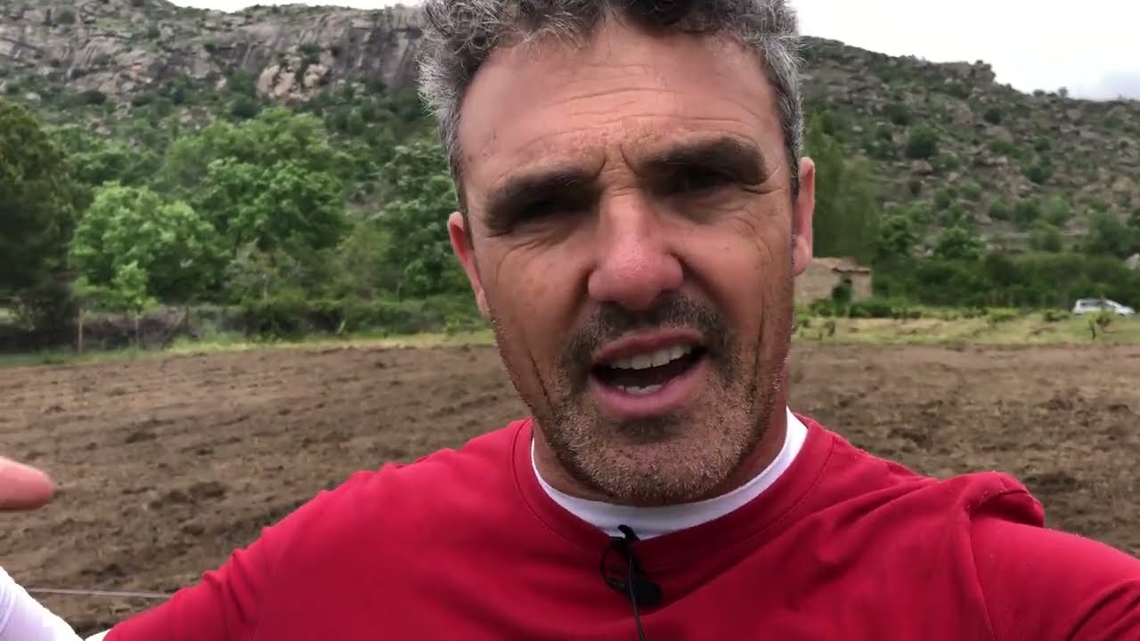 Plantación de viñedo de forma tradicional.