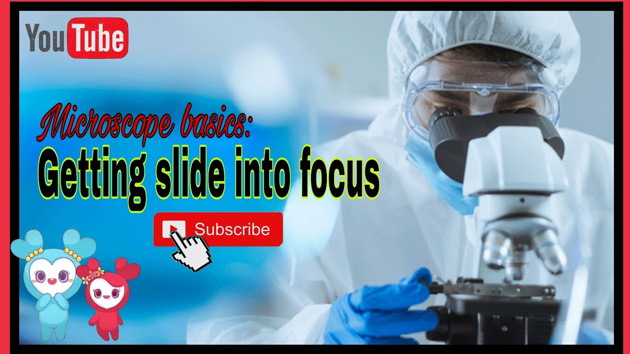 MELC-Based Science 7 Lesson || 2nd Quarter || Focusing The Specimen ...