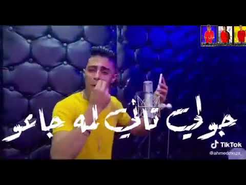 حلات وتس باعة باعو اشبال علينه صاعو