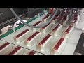 Robotic Ice Cream Production Line|Ice Cream Making In Factory |#Ice Cream #Million views #shorts