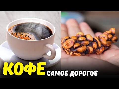 Видео: Самая дорогая чашка кофе в мире