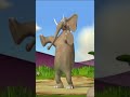 Elephant Performing Yoga  #shorts #youtubeshorts #gazoon #funnyanimals #junglebook