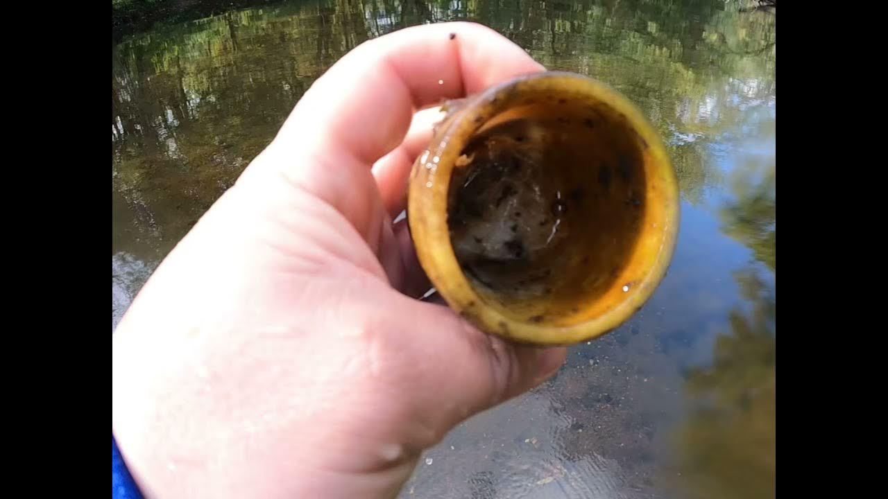 First River metal detecting and bottle Hunt! YouTube