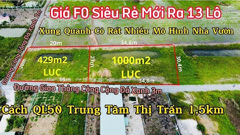 Đất Cần Giuộc / Sản Phẩm Mới 13 Lô Đất Lúa Đường Xe Hơi Về Làm Nhà Vườn Thì Hết Sảy Giá Siêu Rẻ
